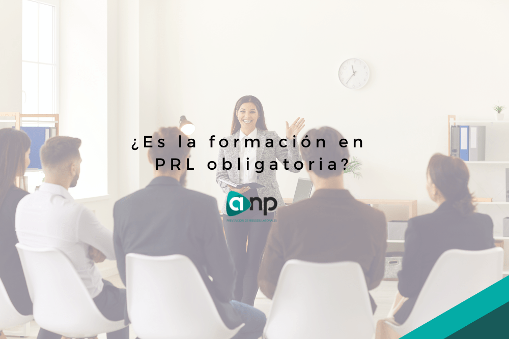 Curso formación en prl