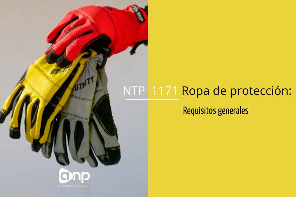Vestuario de ropa deals